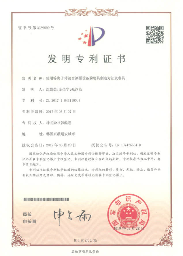 [특허] 중국 특허